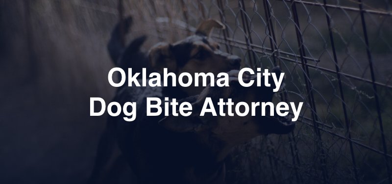 Oklahoma City Dog Bite Lawyer